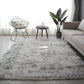 Soft Gradient Area Rug