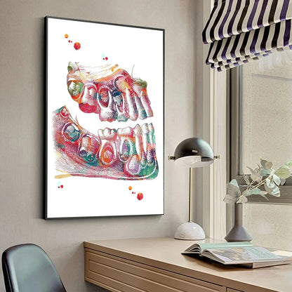 Anatomy Human Teeth Art Posters Teeth Row Teeth Illustra Poster HD Posters Home Room Bar Cafe Decor Art Wall Painting Picture