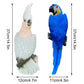 1pc Wall Mounted Parrot Statue, Simulation Outdoor Garden Resin Crafts,Landscaping DIY Garden Sculptures, Yard Lawn Home Decor