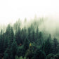 Nature Landscape Green Forest Mountain Lake Boat Poster Print Canvas Painting Wall Art Pictures Modern Living Room Home Decor
