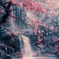 Pink City Asian Travel Japanese Cherry Blossoms At Mount Fuji Poster Light Prints Canvas Painting Wall Pictures Home Room Dec
