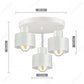 Creative New LED Ceiling Ceiling Ceiling Lamp Living Room Dining Room Corridor Kitchen Bedroom Decorative Lighting