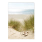 Modern Scenery Landscape Poster Coconut Reed Shell Beach Art Canvas Painting Palm Leaves Print Nordic Wall Pictures Home Decor