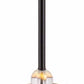 Shropshire Ceiling Light - Clearance