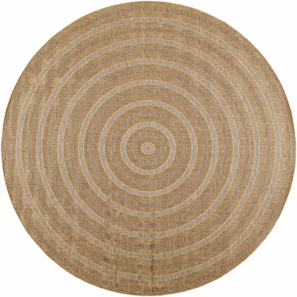 Dyami Flatweave Faux Jute Outdoor Rug
