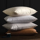 2pcs White Goose Down Feather Pillow for Sleeping Soft Bed Pillow with 100% Cotton Shell Standard Queen Size Back, Side Sleeper