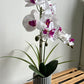 Phalaenopsis Potted Bonsai Fake Flower With Leaf Potted Plant Fake Orchid Flower Arrangement Living Room Indoor Decoration