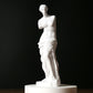 Broken Arm Venus Statue Artwork Sketch Plaster Art Room Decorations Sculpture Nordic Style White Venus Beauty and Love Vĕnus