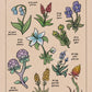 Video Game Inspired Flora of Hyrule Koroks Posters Mushroom World Plant Book Canvas Painting Print Wall Picture Game Room Decor