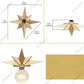 Creative Star Wall Lamp LED Wall Lamp for Luxury Living Room Bedroom Bedside Hotels Background Home Decorative Wall Sconce