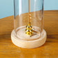 Modern Incense Holder Anti-Ash Flying Incense Burner with Removable Acrylic Ash Catcher for Home Decor Yoga Meditation