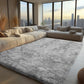VIKAMA Living Room Carpet, Bedroom Soft Fluffy Plush Floor Mat, Kindergarten Children's Room, Dormitory, Home Decoration