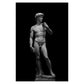 Nordic Simple Wall Art Black Ancient Greek Gods Sculpture David Statue Canvas Print Poster Home Living Room Bedroom Decoration