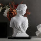 Resin Venus Greek Goddess Statue Elegant Classic Mythological Inspiration Home Decor Ornament Suitable for Living Room