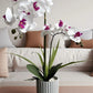 Phalaenopsis Potted Bonsai Fake Flower With Leaf Potted Plant Fake Orchid Flower Arrangement Living Room Indoor Decoration