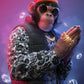 Three Swag Monkeys Canvas Art Posters and Prints Hip Hop Monkey Fashion Paintings on the Wall Art Animals Pictures Room Decor