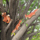 Squirrel Figurine Statues Tree Climber Sculpture Hanging Tree Garden Statue Hugger Decorations Outdoor Gifts Garden Decor Resin