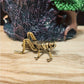 Brass Grasshopper Figurine - Handcrafted Insect Collectible, Tabletop Decorative Animal Ornament, Ideal for Collection & Gifts