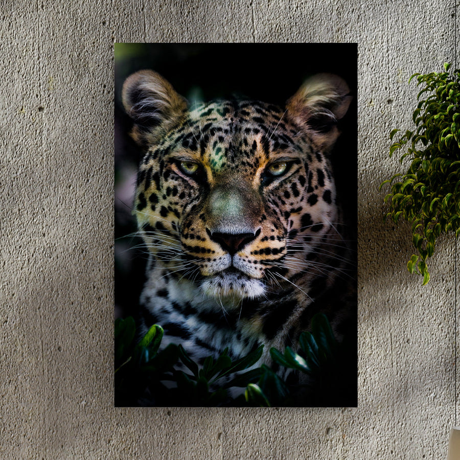 Sneaky Jungle Leopard Portrait Canvas Wall Art
