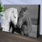 Horse Love Canvas Wall Art