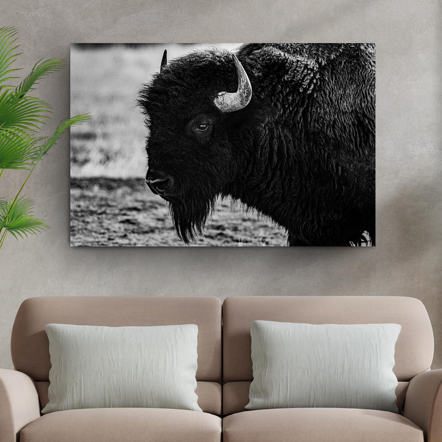 Black and White Bison Canvas Wall Art