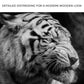Black And White Smoking Tiger Canvas Wall Art