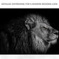 Black And White Lion Head Canvas Wall Art