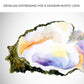 Oyster Watercolor Canvas Wall Art
