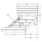 Coastal Platform Bed