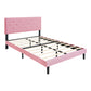 Queen Size Upholstered Platform Bed Frame with Modern Button Tufted