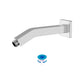 6" Shower Arm with Flange