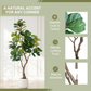 6FT Artificial Fiddle Leaf Fig Tree With Decorative Pot