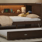 Full Size Wood Daybed with Storage Shelves, USB, LED, and Trundle