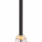 Shropshire Ceiling Light - Clearance