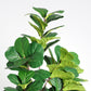 6FT Artificial Fiddle Leaf Fig Tree With Decorative Pot