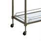 Aditya Mirrored & Antique Kitchen Cart