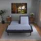 BT3000 Split Top Queen Adjustable Bed Base With Head and Foot Position Adjustment