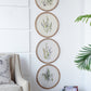 Flora Print Round Frame Set of 4