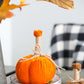 5x7" Md Pumpkin Ornament Set of 6