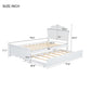 Twin Size Wood Platform Bed with Headboard and Twin Size Trundle