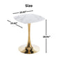 Square Tulip Dining Table for 2-4 Persons