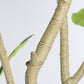 7FT Artificial Fiddle Leaf Fig Tree