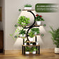 8-Tiered Indoor Plant Stand with Grow Lights