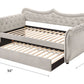 Adkins Sofa Bed