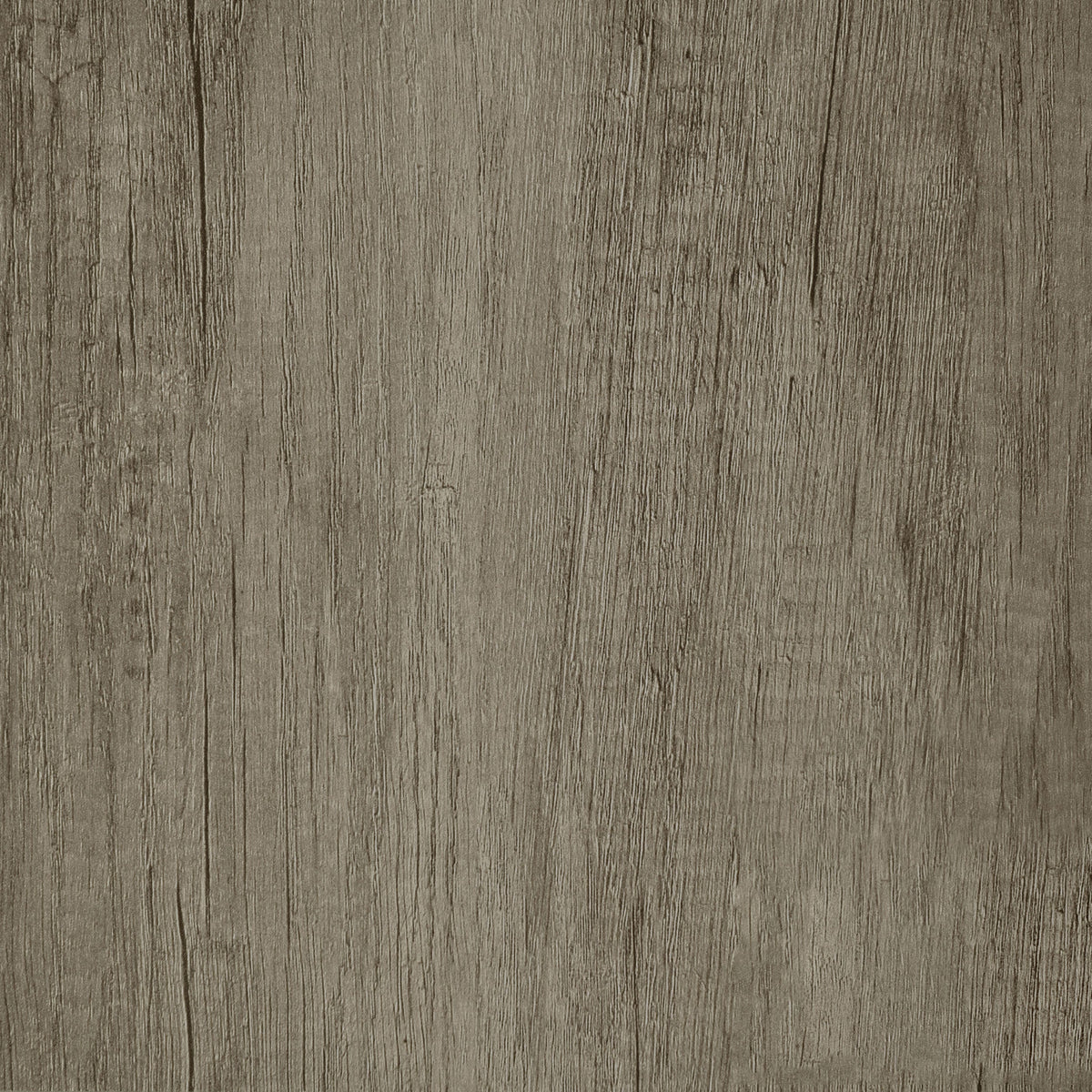 Grey Driftwood and Light Privacy Screen