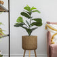 20" x 16" x 35" Artificial Fiddle-Leaf Fig Potted Plant