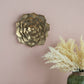 D10x1.4" Succulent Wall Plaque - 2 Piece