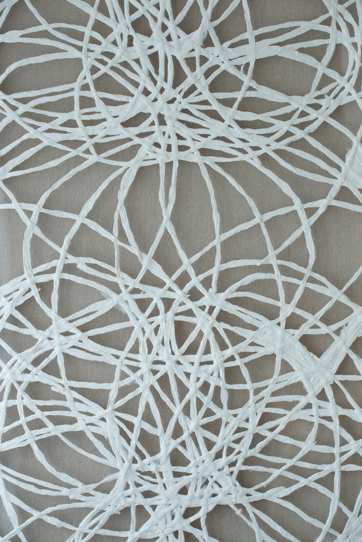S/2 Leaf Shadow Box Wall Décor