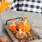 5x7" Md Pumpkin Ornament Set of 6