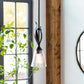 Collinswood Ceiling Light - Clearance
